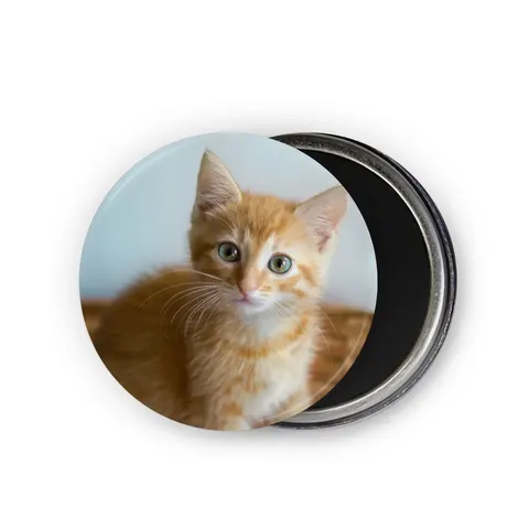 Round Magnet